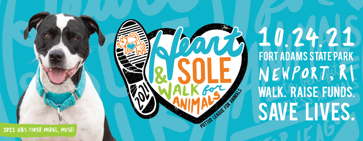Heart & Sole Walk for Animals 